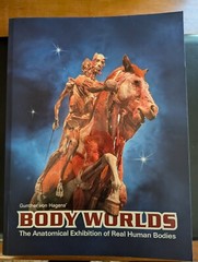 BODY WORLDS – The Original … Real Human Bodies, Hagens, 2007 Ed, 319 pages