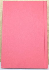 Catching Fire by Suzanne Collins Hardcover First Edition 2009 HC DJ Dust Jacket