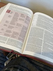 NIV Life Application Study Bible | Third (3rd) Edition | Berry Imitation Leather