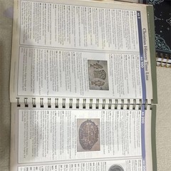 Rose Book of Bible Charts Maps & Time Lines 10th Anniversary Study Reference