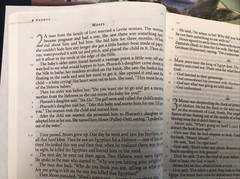 Message Bible-MS-Large Print Numbered: By Eugene H Peterson