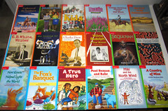 Lot of 31 Macmillan “Leveled Reader Library” books – Homeschool, teacher