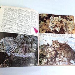 Funk & Wagnalls Wildlife Encyclopedia Volumes 1, 2, 3, 8 Lot Dr. Maurice Burton