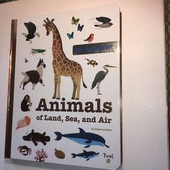 TW Do You Know Ser.: Do You Know?: Animals of Land, Sea, and Air by Stephanie…