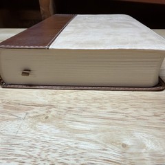 Literary Study Bible by Crossway Bibles Staff and ESV (2009, Imitation Leather)