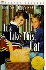 It’s Like This, Cat – Paperback By Neville, Emily Cheney – GOOD