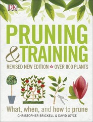Pruning and Training, Revised New Edition: What, When, and How to Prune