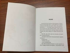 ALBANIAN BOOK-PERRALLE-VAJZA E MENCUR-ELSA MYFTIU-ILLUSTRATED-2004-74 pgs