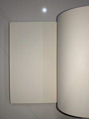 Mathematical Models of Social Evolution | McElreath Boyd | 2007 | 1st Print