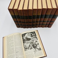 Universal Standard Encyclopedia Complete Set Volumes 2-25 (FC79-4-R)