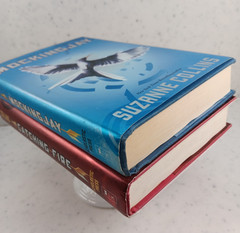 Catching Fire And Mockingjay By Suzanne Collins Hardcover Books Hunger games
