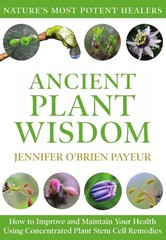 Jennifer O’Brien Payeur Ancient Plant Wisdom (Paperback)
