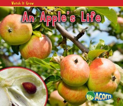 An Apple’s Life (Watch It Grow) – Paperback By Dickmann, Nancy – GOOD