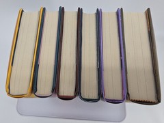 Wings of Fire (#10-15) + Dragonslayer Book Set Tui T. Sutherland Dragons W/cover