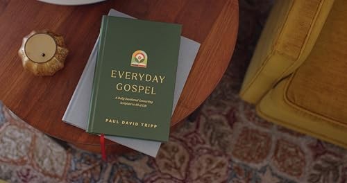 Everyday Gospel A Daily Devoti – VERY GOOD