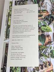 Wild at Home – Hilton Carter- Hardcover Plant Care Book Used VERY GOOD