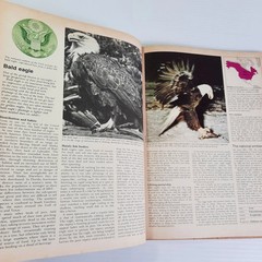 Funk & Wagnalls Wildlife Encyclopedia Volumes 1, 2, 3, 8 Lot Dr. Maurice Burton