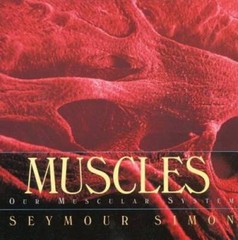 Muscles: Our Muscular System – Paperback By Simon, Seymour – GOOD