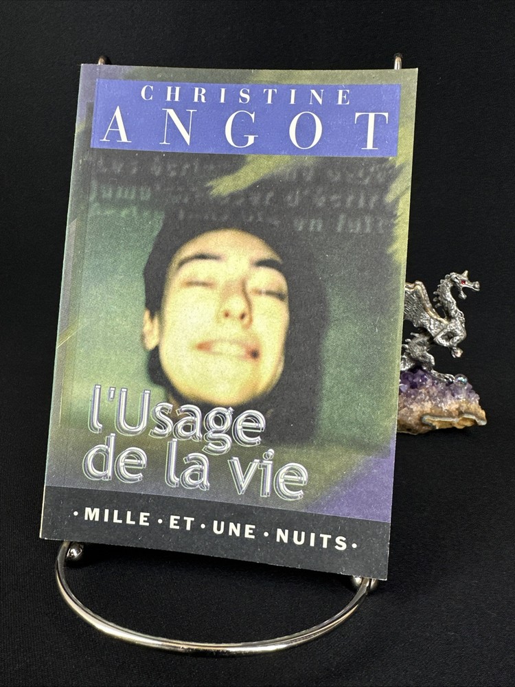 Mille et une nuits 260: L’Usage de la vie, Christine Angot 1999