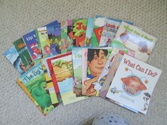 SCOTT FORESMAN READING LOT 30~Kindergarten Independent Reader~HIGH FREQUENCY~