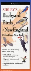 Sibleys Backyard Birds New England Paperback David Allen Sibley