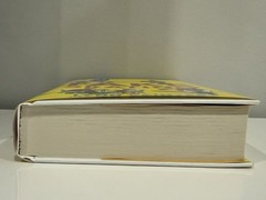 Fake Skating by Lynn Painter – Signed