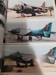 The BAe (Hawker Siddeley) RAF Harrier: A Comprehensive Guide by Andy Evans
