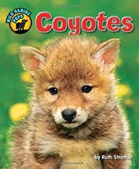Coyotes Library Binding Ruth Strother