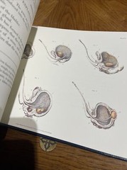 Great Operations Of Surgery By Charles Bell – Classics Of Mesicon Library-illust