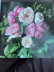 NOS Flowers Cube book Valeria Manferto De Fabianis Hardback 736 page color photo