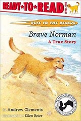 Brave Norman : A True Story – Paperback, by Clements Andrew – Very Good x