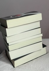 Stephenie Meyer Twilight Saga Book Lot: Twilight, New Moon, Eclipse, Paperback