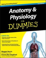Anatomy and Physiology For Dummies – Paperback By Norris, Maggie – GOOD