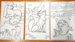 Crayola Giant 20 Coloring Pages Book Animals 10.5 in W X 17 in Long – 18 Pages