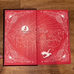 Rebecca Yarros Official Fourth Wing Journal You’re A Little Thing Aren’t You