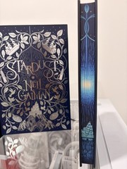 Stardust LITJOY Illustrated Special Edition by Neil Gaiman ~ Stenciled Edges
