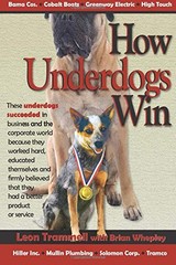 How Underdogs Win