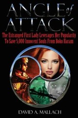 Angle of Attack [Hardcover] Mallach, mr. David mr.