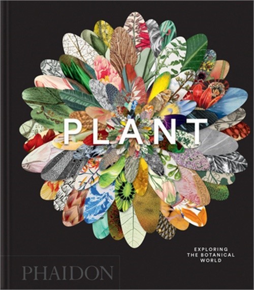 Plant: Exploring the Botanical World (Hardback or Cased Book)