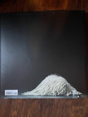 Dogs by Tim Flach (2010, Hardcover)