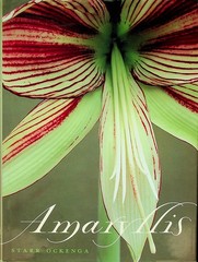 Amaryllis Starr Ockenga Clarkson Potter 2002 First Edition Hardcover DJ