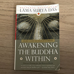 Lama Surya Das Awakening the Buddha Within: Eight Steps to Enlightenment 1998 PB