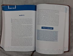 The Bible Recap: A One-Year Guide by Tara-Leigh Cobble – Faux Leather Edition