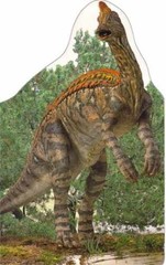 Dinosaur Board Books: – Board book, by King Dave; Wills – Very Good