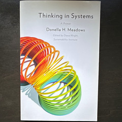 Donella H. Meadows Thinking in Systems International Bestseller 2008 PB Chelsea