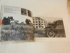 WW II “BISON: GERMAN SELF-PROPELLED ARTILLERY IN WW II & OTHER 150MM SP-GUNS”