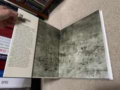 The Los Angeles House: Decoration And Design In America’s 20th Century City book