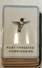 Sibley Backyard Birding Bingo : David Allen Sibley 2021 Like New Ages 4 And Up