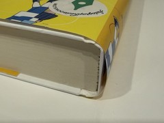 Fake Skating by Lynn Painter – Signed
