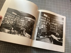 Freud : Living and Dying by Max Schur & Bergasse 19 by Edmund Engelman